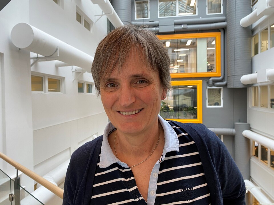 -Opplever at NFF er på banen