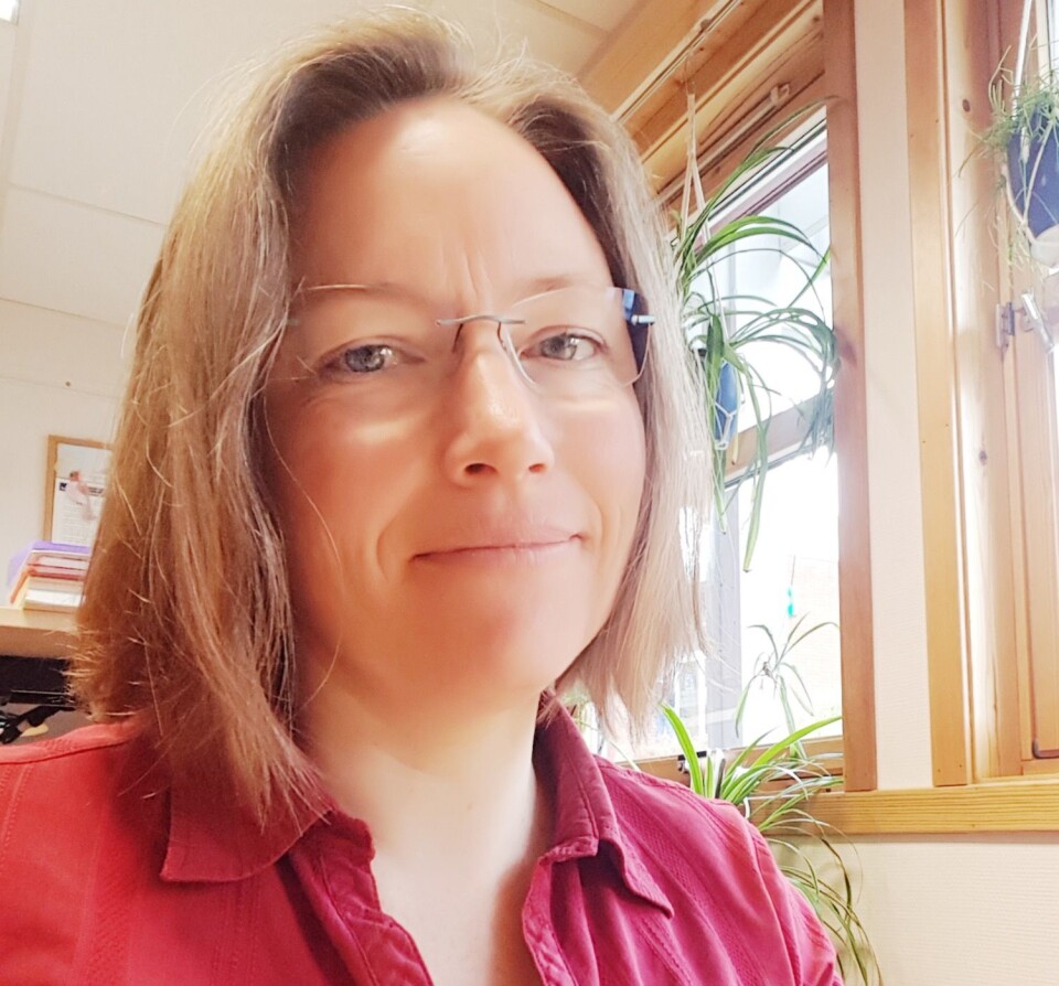 Journaler: Sju millioner til video- og bildeprosjekt