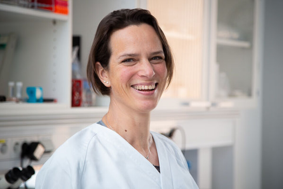 Astrid Woodhouse. Foto: Karl Jørgen Marthinsen, NTNU Astrid Woodhouse. Foto: Karl Jørgen Marthinsen, NTNU