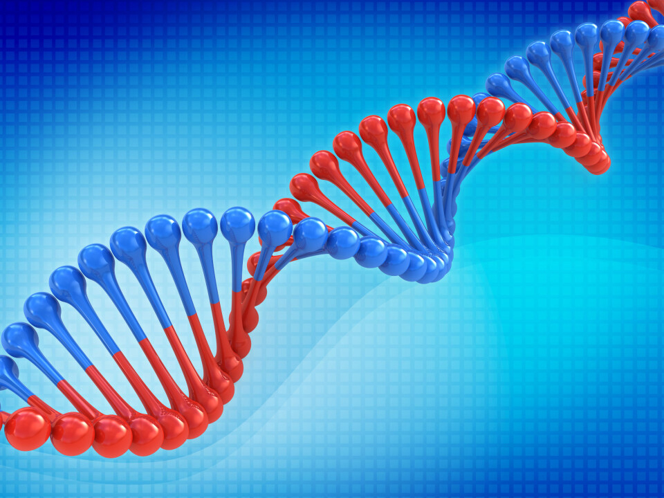 Genvariant for smerteregulering