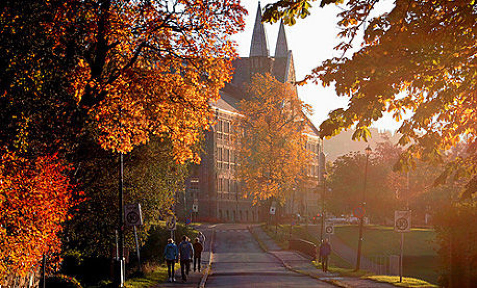 Foto: Mentz Indergaard, NTNU.