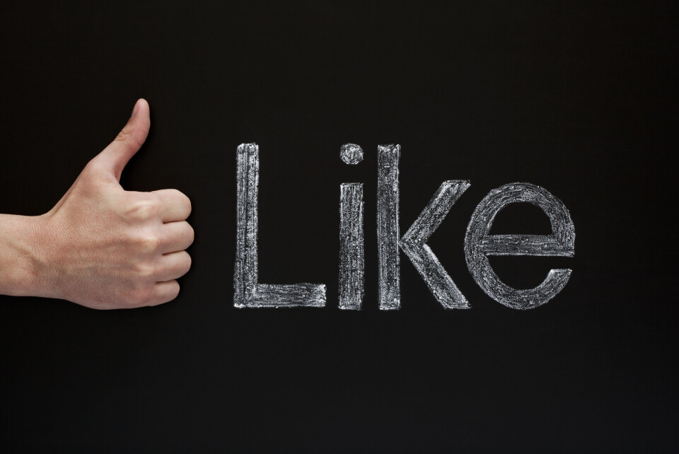 Over 4000 liker Fysioterapeuten
