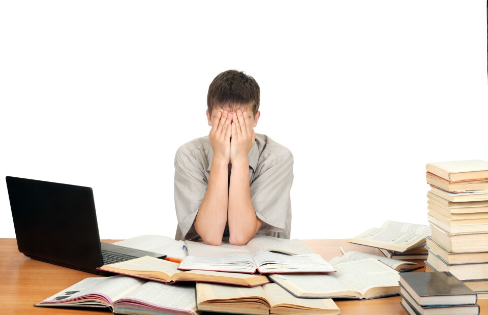 For mange får tilbud om studieplass