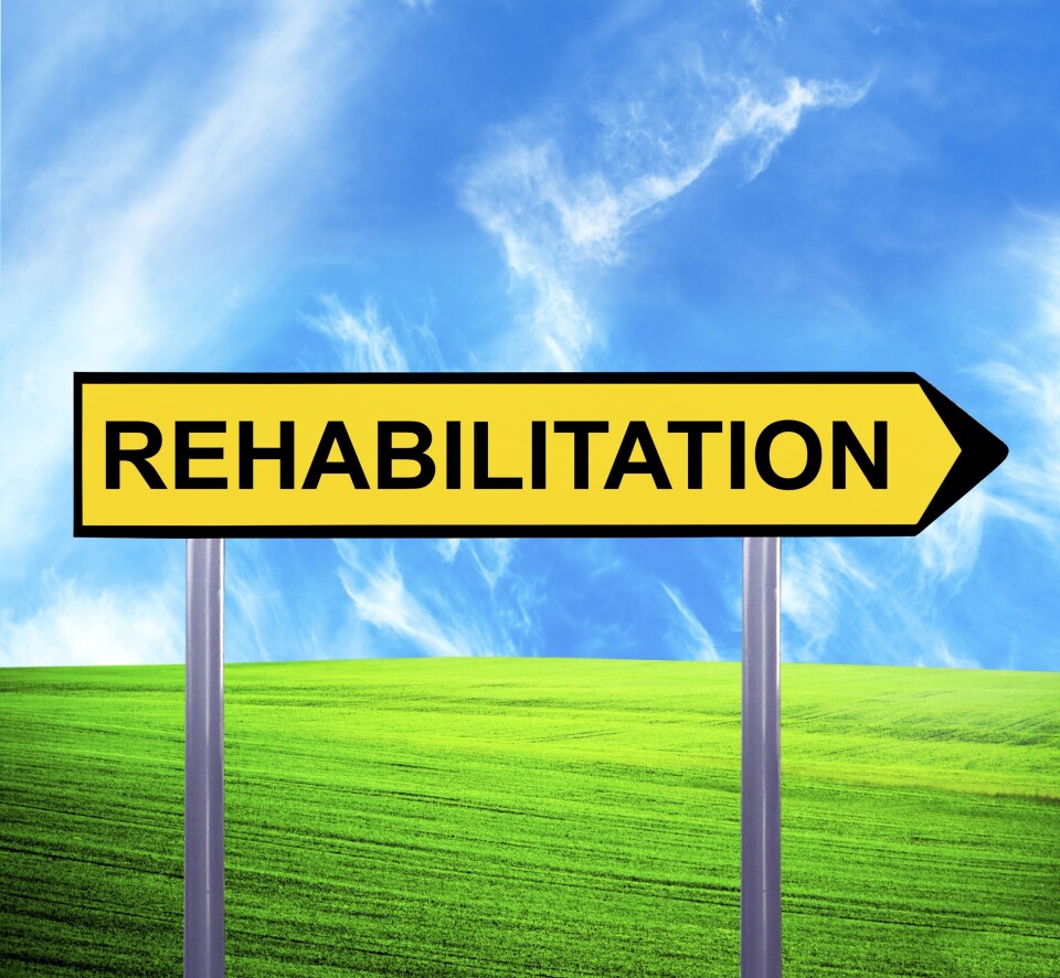 Rehabilitering i 2015