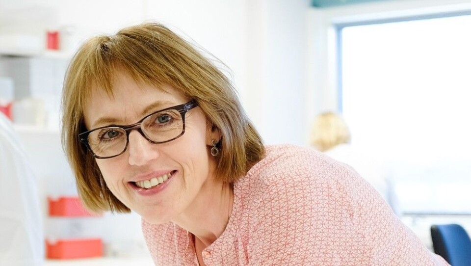 Prosjektleder for den sjuende Tromsøundersøkelsen, Heidi Johansen, tar gjerne imot mer penger over statsbudsjettet.