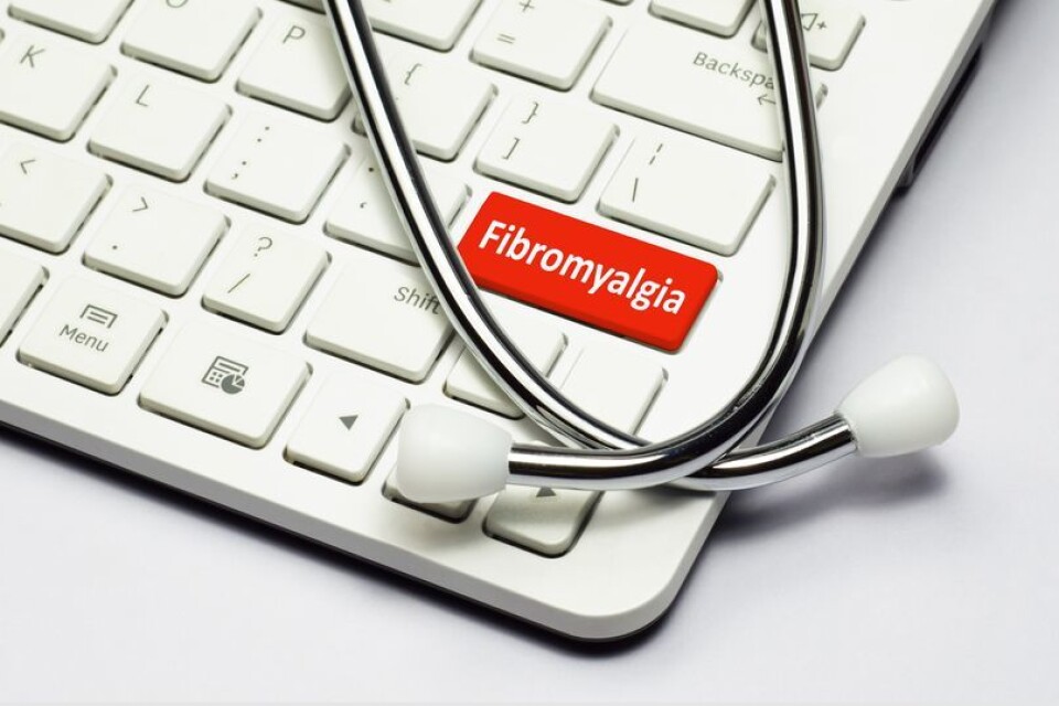Fortellinger om tilfriskning fra Fibromyalgi