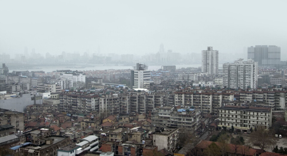 WHO: Nytt virus kan gi global folkehelsekrise