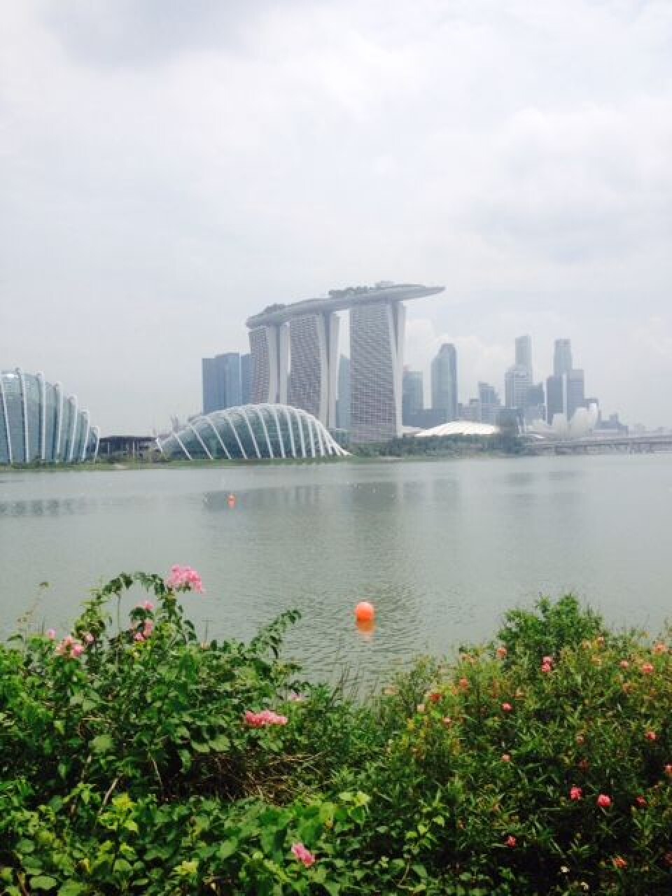 Faglig skråblikk fra Singapore