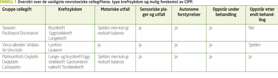 Klikk for større bilde