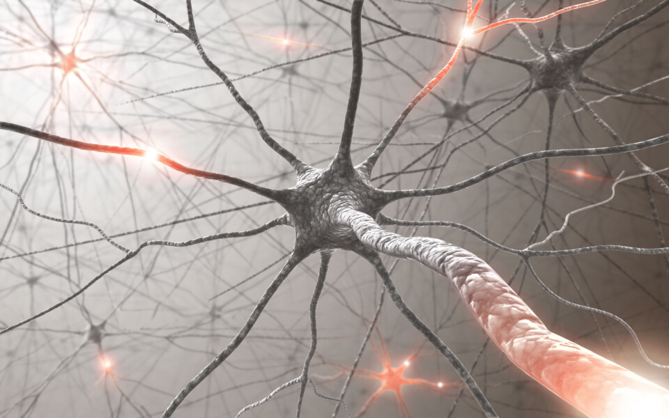 Chemotherapy-Induced Peripheral Neuropathy and Physiotherapy