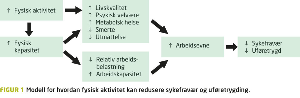 Klikk for større bilde