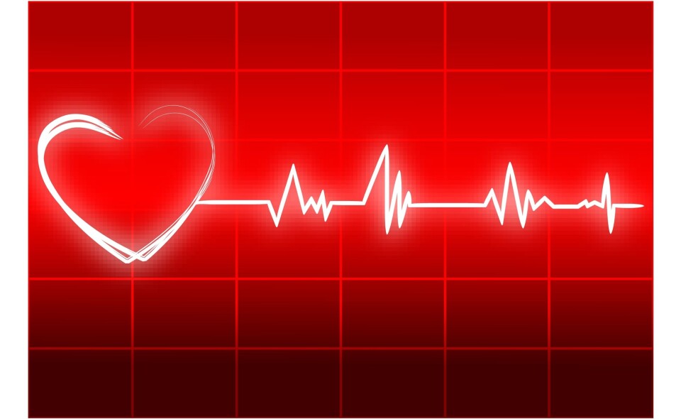Women’s experiences of exercise during and after cardiac rehabilitation. A focus group interview