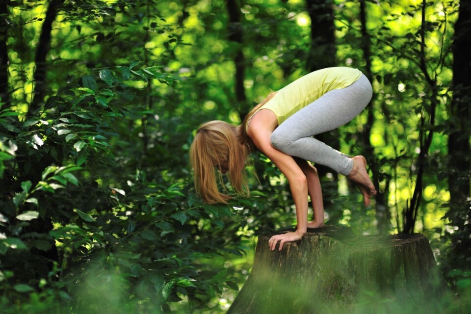 The use of positions and movements in yoga. An interview study
