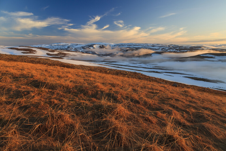 Physiotherapists and Priority Setting: A Focus Group Study in Municipalities in Finnmark, Norway