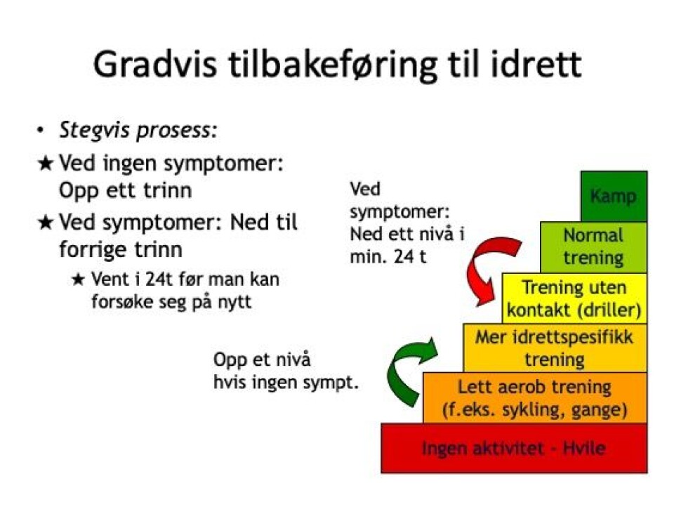 Klikk for stort bilde Klikk for stort bilde