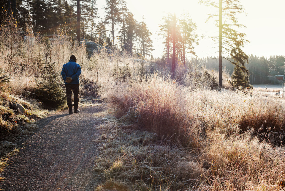 Er fysioterapeutens funksjonelle øvelser oppgavespesifikke?