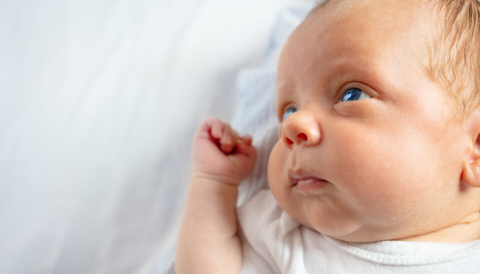Har fysioterapi effekt på medfødt muskulær torticollis hos barn fra null til to år?
