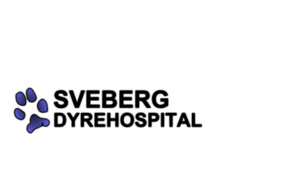 Fysioterapeut