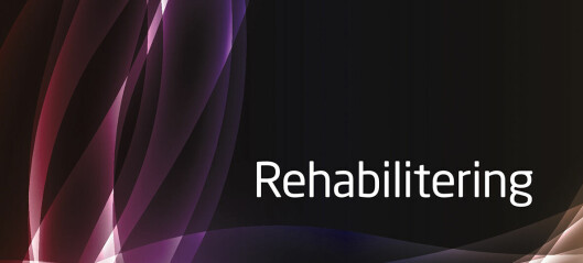 Rehabilitering: Fysioterapeuters domene?