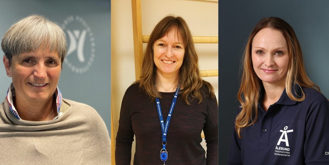 Fra venstre: Gerty Lund, Ingunn Skogseth Stevens og Kjerstin Fet Vindenes. Fra venstre: Gerty Lund, Ingunn Skogseth Stevens og Kjerstin Fet Vindenes.