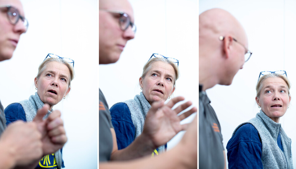 – De kommer og sier: «Jeg har vondt i ryggen», men vi vet jo at det ofte er mer sammensatt enn det, sier Ulrika Tiegs.