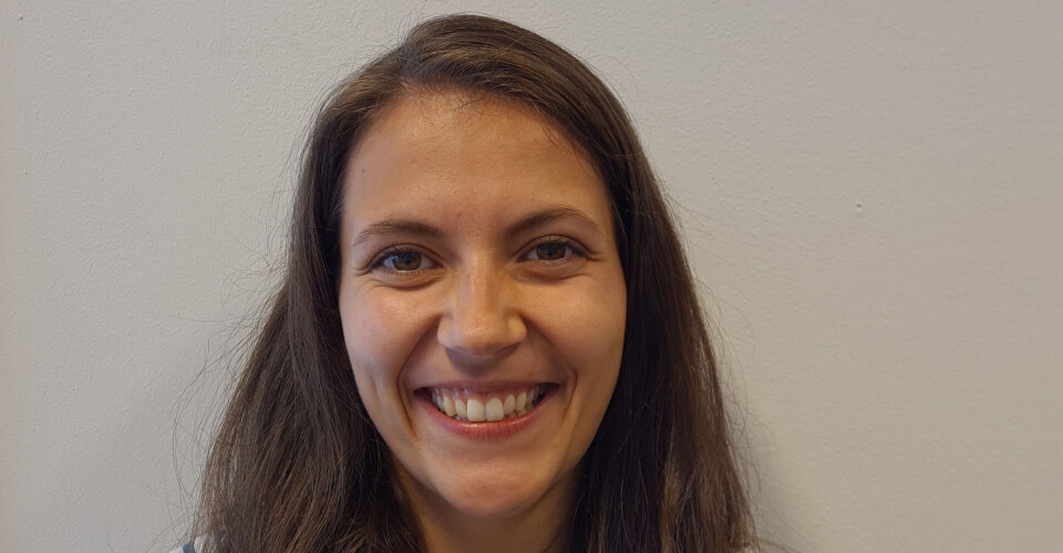 Et punkt jeg mener vi er forbigått på, og som vi ikke får anerkjennelse for, er turnusåret, skriver Liv Grønli Turtum.