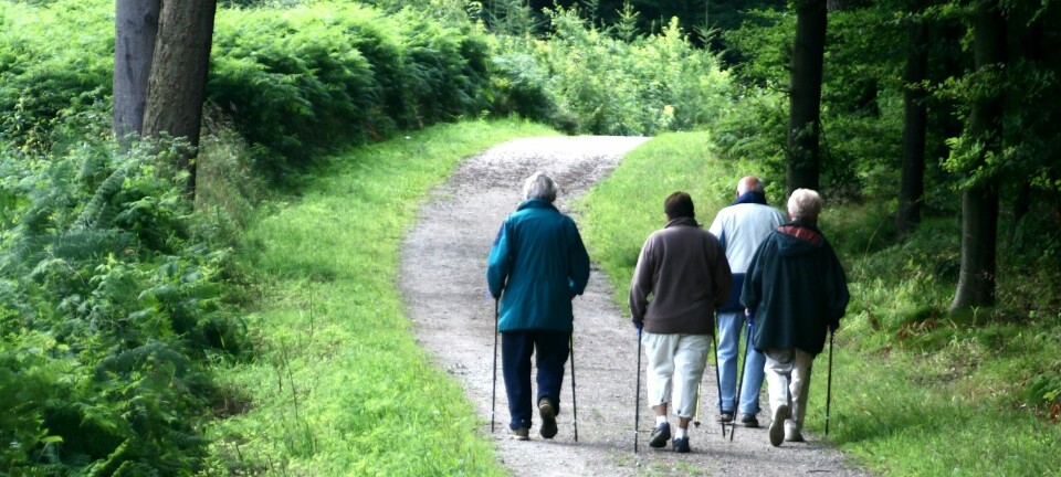 old persons On a forest path