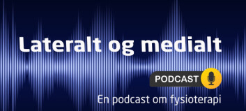 Episode 11 - Norsk psykomotorisk fysioterapi: En utfyllende samtale