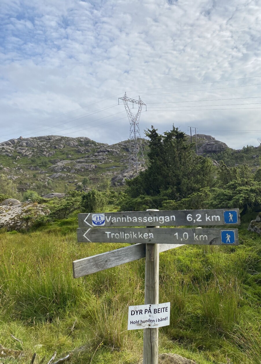 Illusjonen av å være på tur: Vakre omgivelser kan bidra til treningsglede, også via en skjerm, mener fysioterapeut Ragna Sigmo Skipstad Illusjonen av å være på tur: Vakre omgivelser kan bidra til treningsglede, også via en skjerm, mener fysioterapeut Ragna Sigmo Skipstad