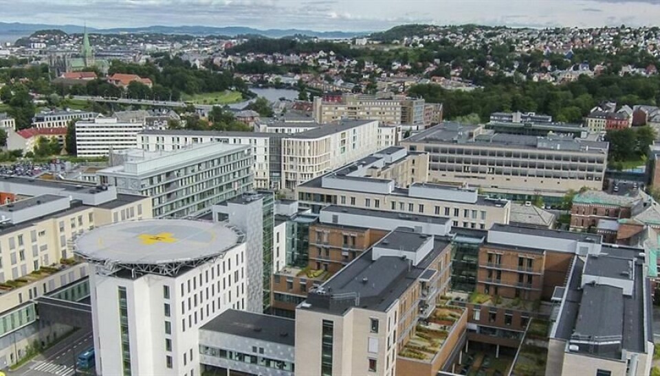 St.Olavs hospital i Trondheim.