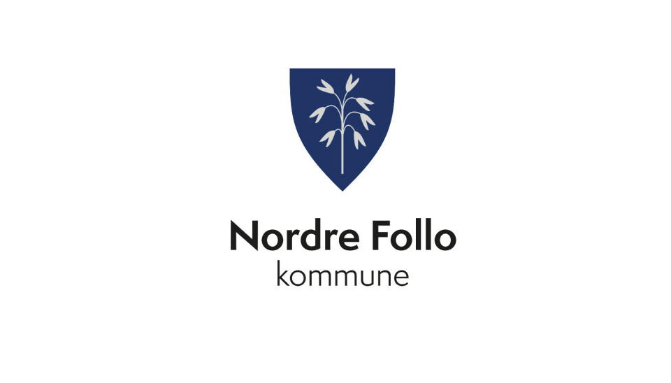 Psykomotorisk fysioterapeut
