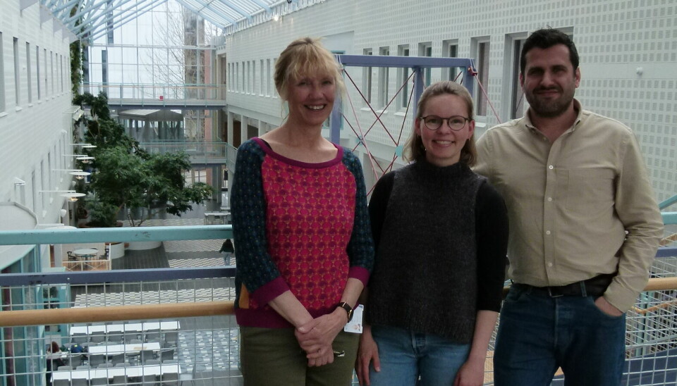 De tre kollegaene på bachelorprogrammet i fysioterapi ved UiT - Norges arktiske universitet har et felles engasjement for å integrere miljø- og bærekraft inn i utdannelsen.