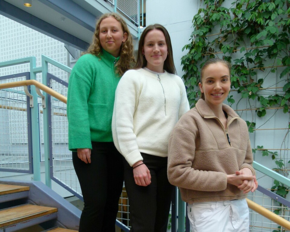 Motiverte studenter f.v. Stine Christensen, Martine Olsen og Thea Brander.