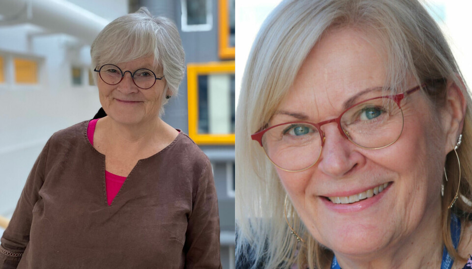 Professorkollegaene Anne Marit Mengshoel (t.v) og Hilde Stendal Robinson uttrykker skepsis over regjeringens forslag om fysioterapiutdanning på Elverum i en kronikk i nyhetsavisa Khrono.