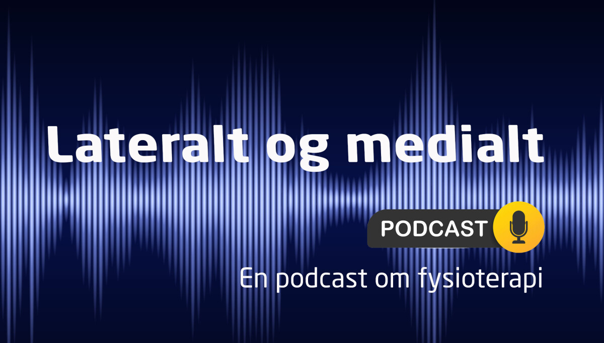 Episode 25 - Samfunnsøkonomi: Argumenter og etikk i den politiske debatten
