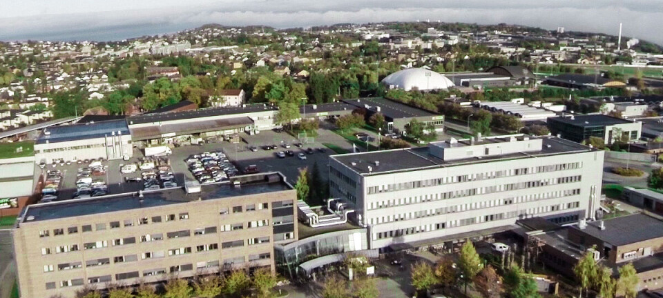 Les også: Oppsigelser ved NTNU. Flere sliter med økonomien