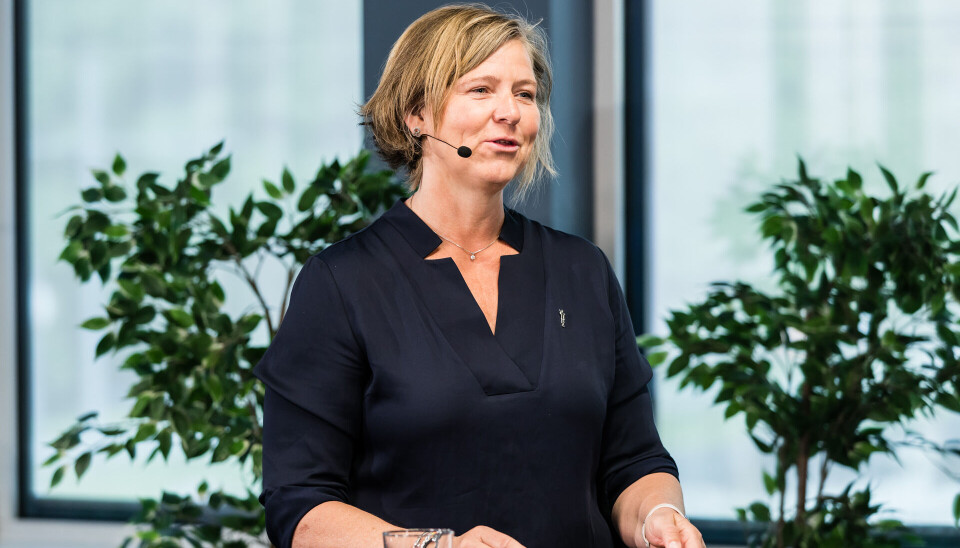 Anne-Karin Rime, president i Legeforeningen, spurte hva som skal prioriteres i helsetjenesten fremover. Her fra et tidligere Landsstyremøte.
