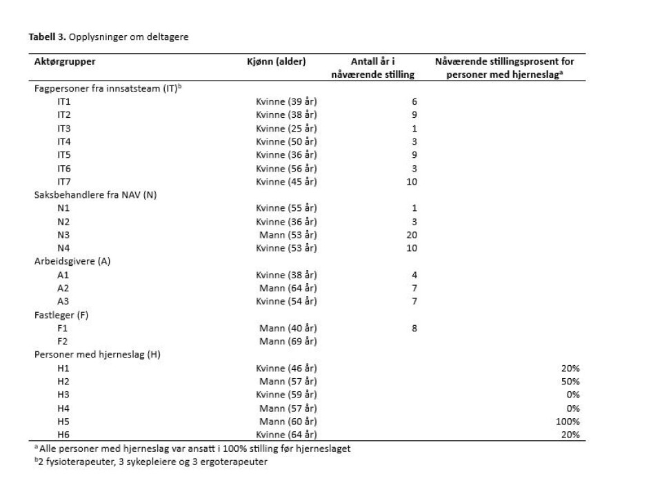 Retur til arbeid det første året etter hjerneslag: Erfaringer fra fem aktørgrupper