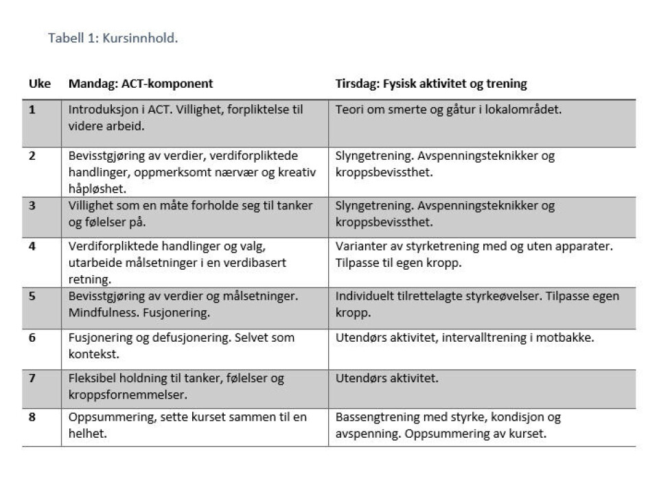 Å mestre et liv med smerter - en kvalitativ intervjustudie