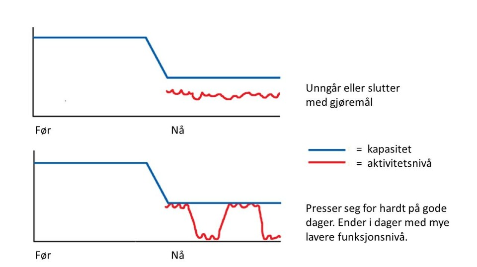 Figur 4. Kapasitet og aktivitetsnivå. Brukes med godkjenning av NBRR.