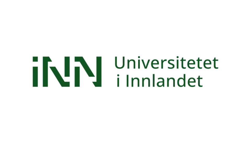 Førsteamanuensis/førstelektor/universitetslektor innen fysioterapi