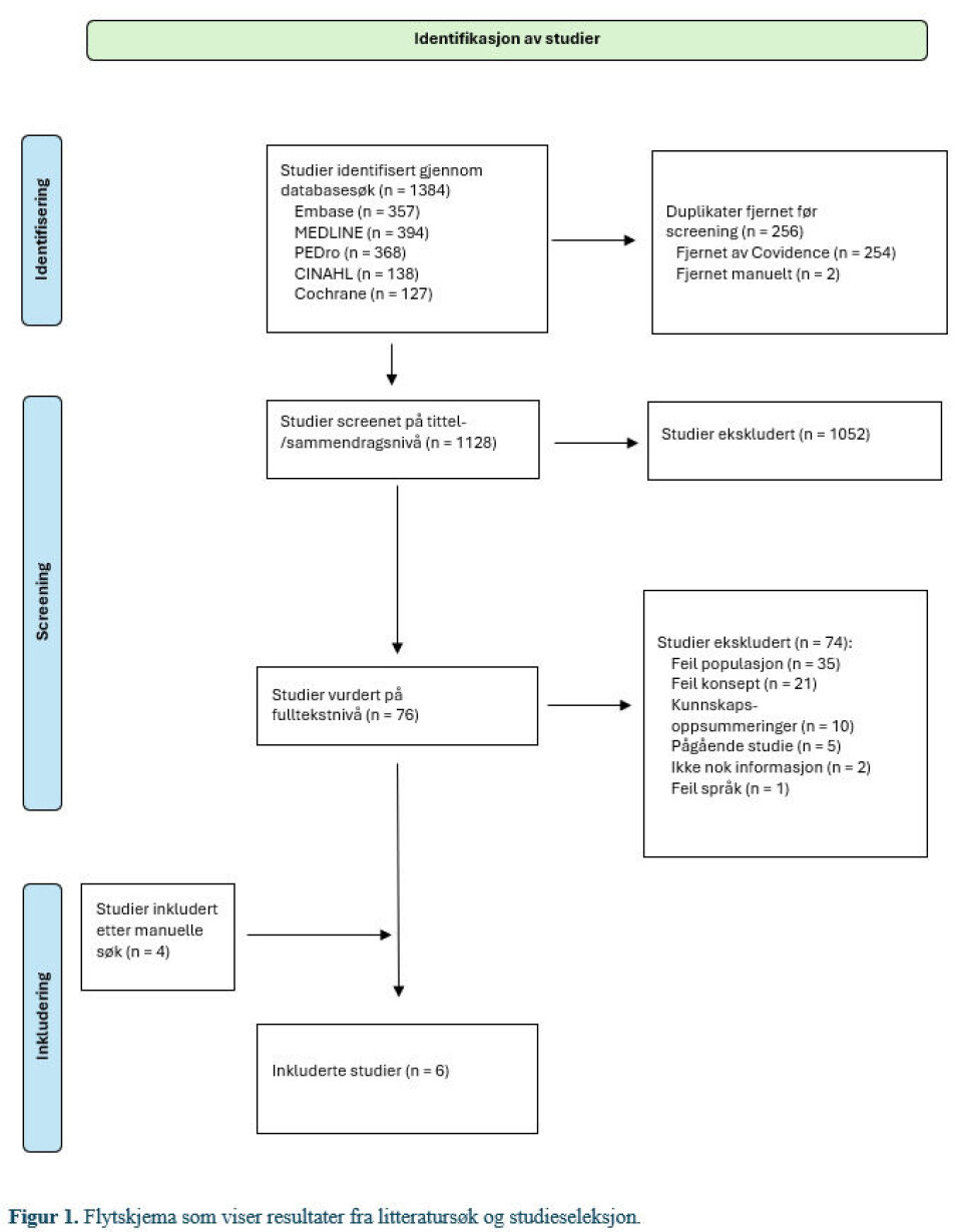 Helserelatert livskvalitet hos kvinner som har mottatt fysioterapi for bekkenleddsmerter etter fødsel: En scoping review