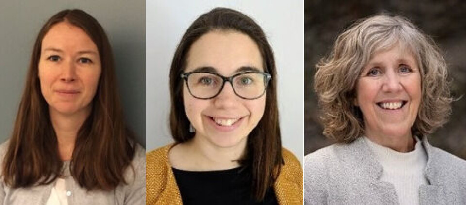 Fallprevent, presentert ved (fra venstre) fysioterapeutene og forskerne Kristin Taraldsen (prosjektleder), Maria Bjerk og Therese Brovold.