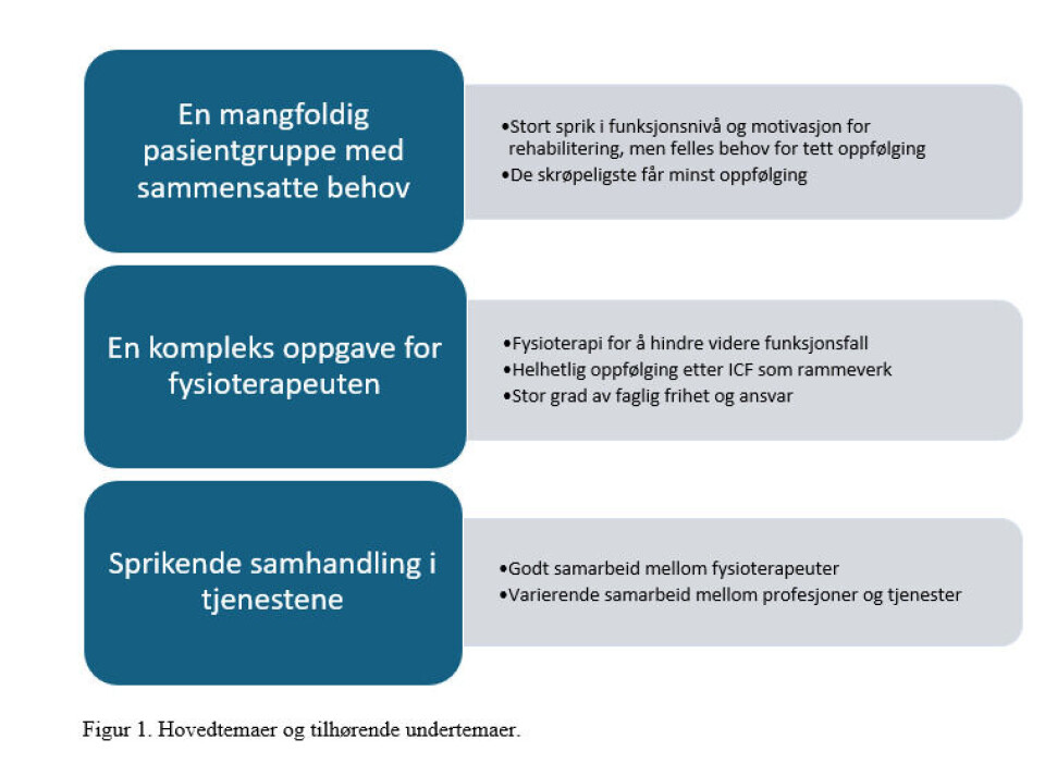 Det handler om mer enn bare hofta: En intervjustudie om kommunale fysioterapeuters erfaringer med oppfølging av skrøpelige eldre etter hoftebrudd