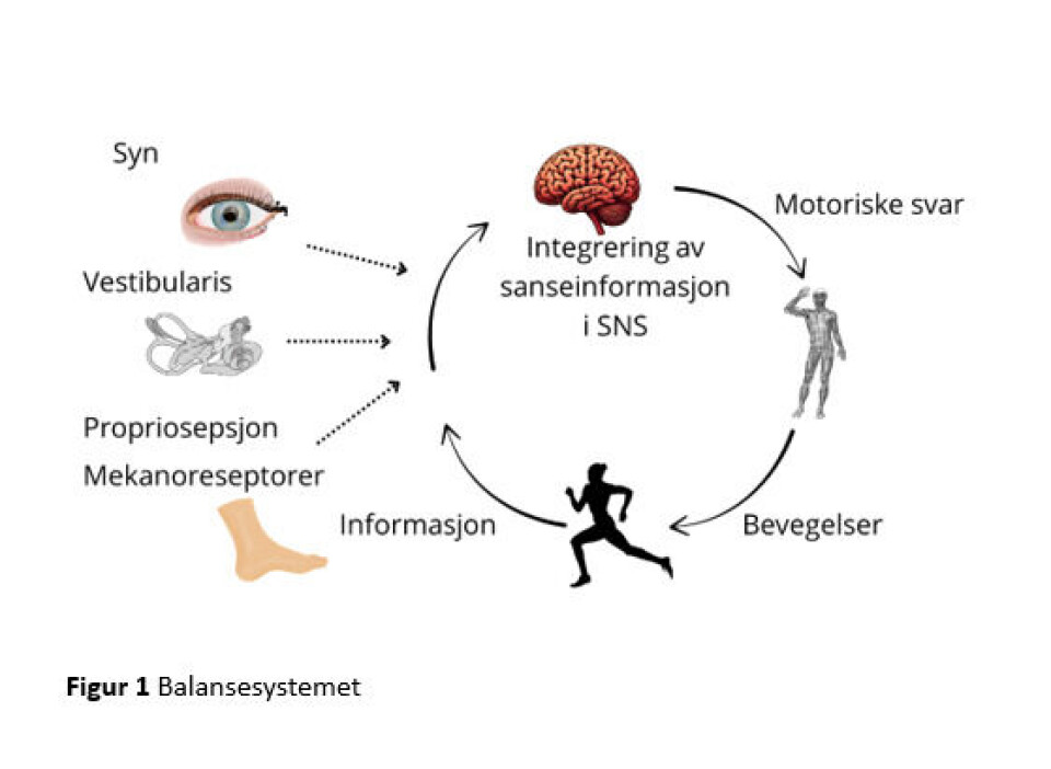 «Vestibulær rehabilitering» – en etterspurt øvelsesbehandling også i dag