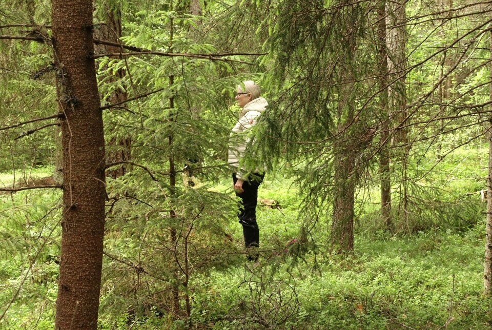 Tilstede i naturen – Du kjenner på mindre stress, skuldrene senker seg, sier Siw Huatorpet.
