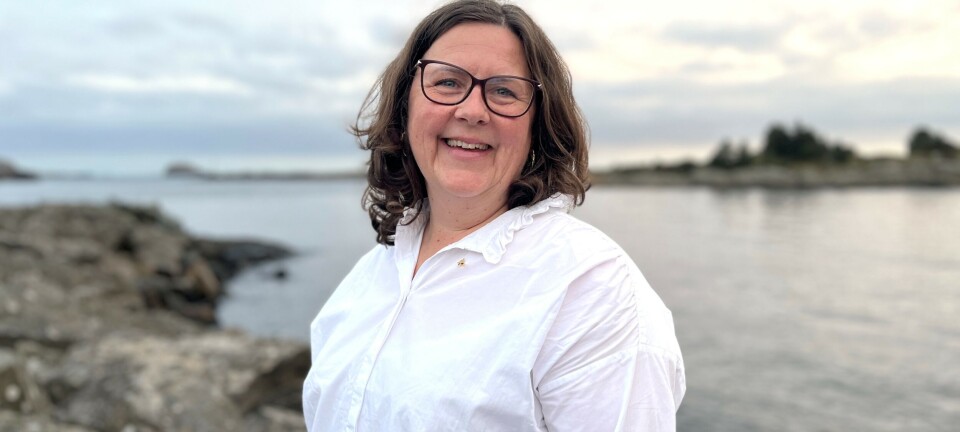 Kroken på døra for lokaldemokratiet i NFF