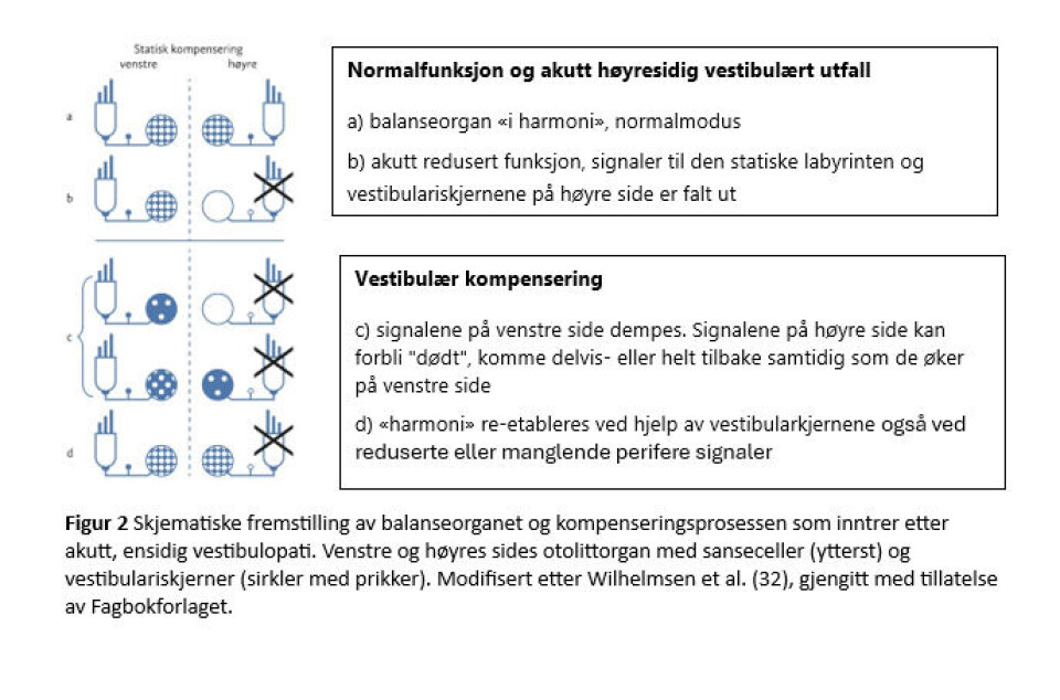 «Vestibulær rehabilitering» – en etterspurt øvelsesbehandling også i dag